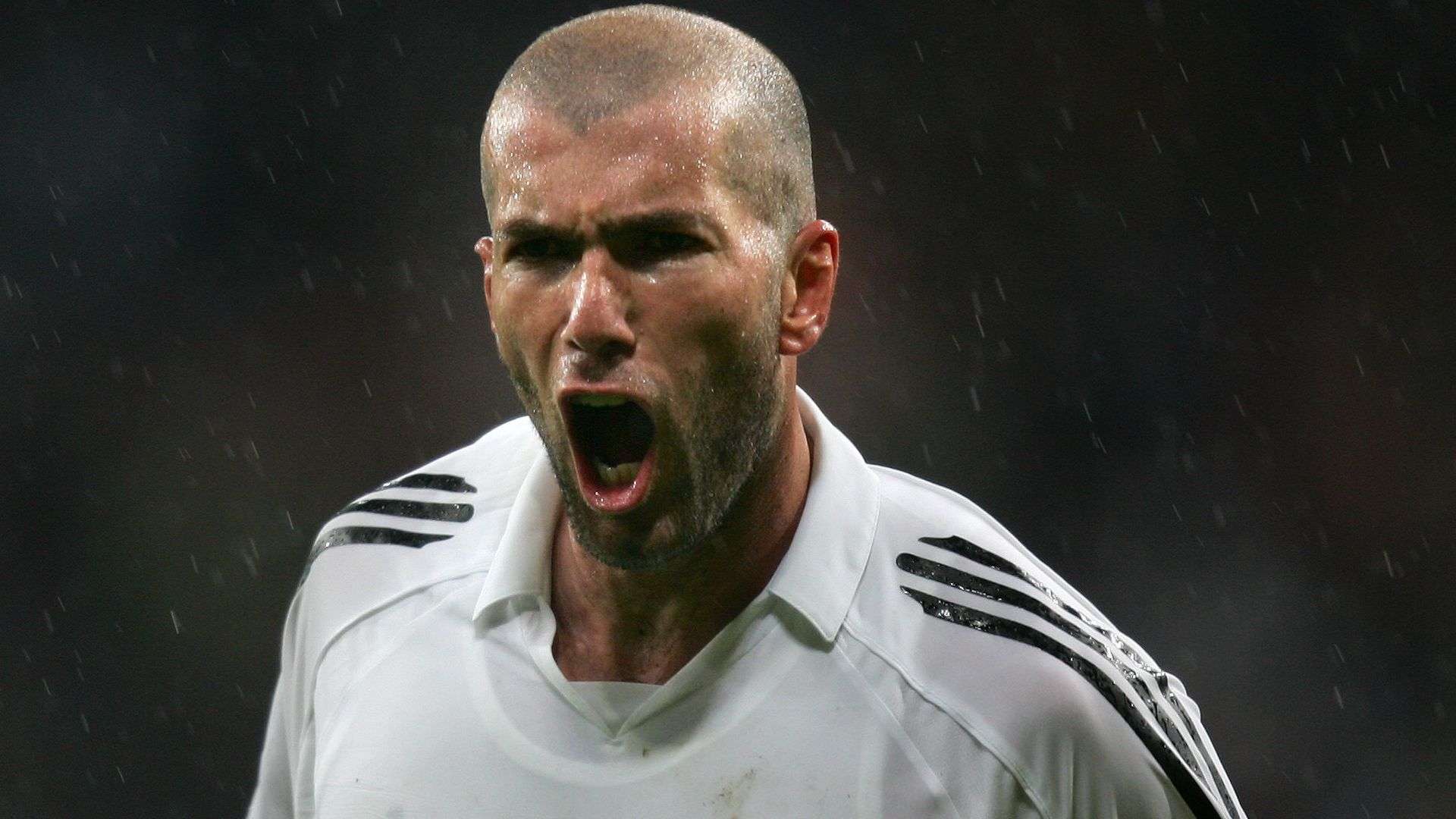 星的关注 星的关注